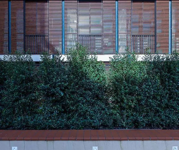 Raval House فندق 3*